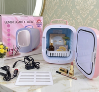 6L Mini Beauty Fridge (Hot & Cold)