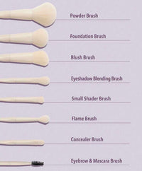 SHEGLAM Pro Core Brush Kit