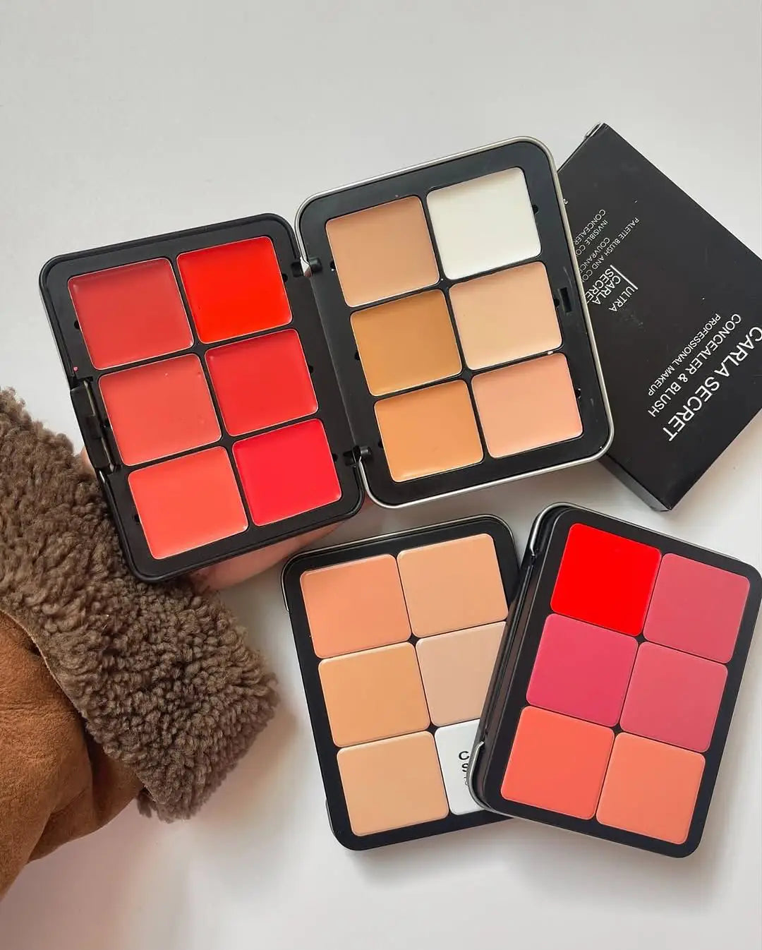 Carla Secret Concealer & Blush Professional Kit