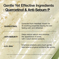 ANUA - HEARTLEAF QUERCETINOL PORE DEEP CLEANNSING FOAM