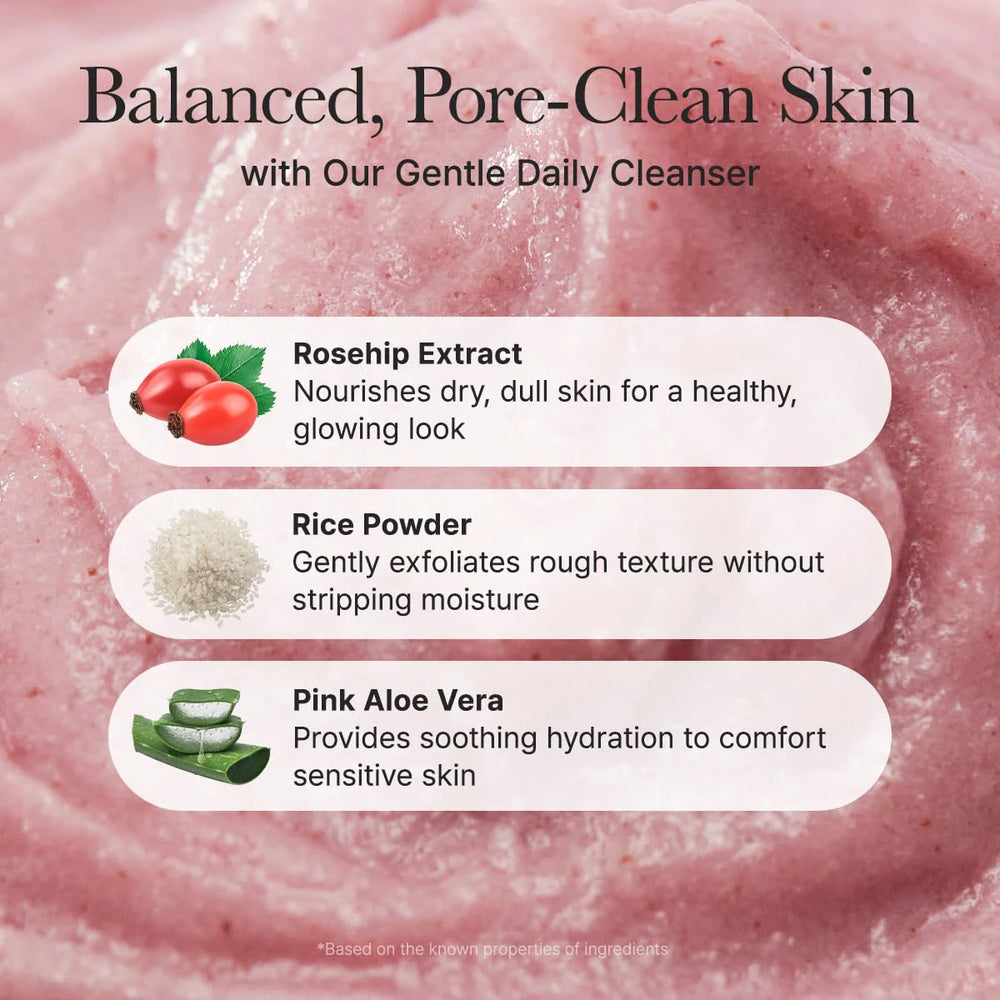 Arencia Fresh Rosehip rice mochi Cleanser 120g